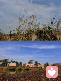 “所謂自律，是以積極而主動的態度，去解決人生痛苦的重要原則，主要包括4個方面：推遲滿足感、承擔責任、尊重事實、保持平衡?！迸鋱D