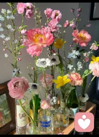 ?允許自己情緒波動(dòng)，允許自己能力不足，允許自己認(rèn)知不足。
你更要相信，你一直再成長，你會變得越來越好。 ???配圖