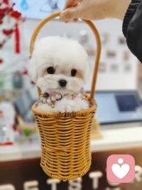 萬事如意，事事如意，本來就是美好的祝愿。生活是不可能事事如意的。但是，反過來想，正是那些不如意才讓你品嘗到了生活偶爾帶來的甜。我們要學會辯證的看待事物，任何事物都是有兩面性的。早安?配圖