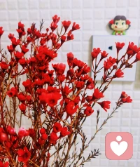 新的一周加油吖～早安！配圖