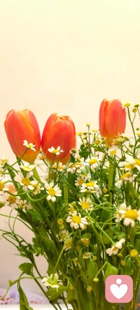 感恩遇见每一个她/他，真好。❤配图