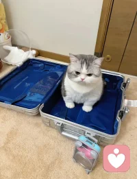 你越在意什么，就会被什么拿捏。放轻松，默默无闻的日子里，去看书、去运动、去种花，去做一切你喜欢的事。如果什么都不想做，那就放空发呆，给自己一个缓冲期，整理好了再出发～❤配图