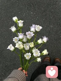 不破不立。如果你不愿意打破陳規(guī)，不肯像剝洋蔥一樣剝開自己，那你只能在原地轉(zhuǎn)圈圈。配圖