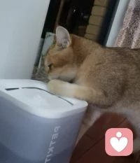 世界真的好小，一不小心就會(huì)遇到熟悉的人。配圖