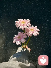 弘一法師說:“終有一天你會(huì)靜下心來，像個(gè)局外人一樣回顧自己的故事，然后笑著搖搖頭，浮生不過夢(mèng)一場(chǎng)，所以能治愈你的，從來都不是時(shí)間，而是內(nèi)心的那份釋懷和明白。” 如果人不通透，看什么書都是徒勞。
真正的釋懷，從來不是忘記和放棄，而是不管記憶如何的滾燙，也再無波瀾。?配圖