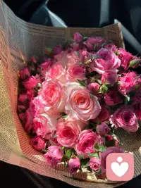 分享過看到的一句話：最高的能量是慢和靜。 
在大環境不好的情況下，慢慢耕耘，慢慢提升自己，靜下心，沉下心，保持長期主義，慢就是快，靜就是眼光放長遠。?配圖