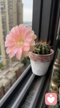 11月再見，12月你好，晚安，早安。?配圖