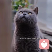 ❤你是不是总是在意别人怎么说你而内耗？
教你两个简单而粗暴的方法：
1、只要不直说，我就当听不懂。
2、直说了我不爱听，就当没听到。配图