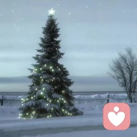 ❤先完成，再完美。
加缪说
一切伟大的行动和思想都有一个微不足道的开始，
过于追求完美的人其实不是在追求通往成功过程中的乐趣。
而是在逃避可能失败的恐惧，
完美主义是禁锢自己前进的牢笼。配图