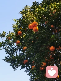 人最大的運氣不是撿到錢，而是碰到一人，帶你提高思維，打破認知，拓展眼界…帶你走向更好的領域，早安。?配圖