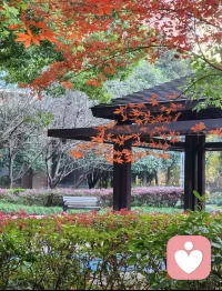 运动是可以帮你释放负面情绪的。心情低落时，不妨做做运动。跑个步，打个拳，踢个球……在汗水挥洒中，进行一次“情绪排毒”，这样你内心的噪杂会平复，你的心情会变好，也会重新激发你的生活热情。动起来吧❤配图