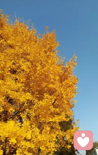 其实，别看这个世界上有那么多人。遇到一个能够同频的、匹配度很高的人并不容易。任何关系都如此。且行且珍惜。❤配图