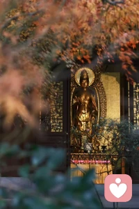 人生最曼妙的风景，是内心的淡定与从容。早安❤配图