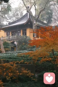 人生最曼妙的风景，是内心的淡定与从容。早安❤配图