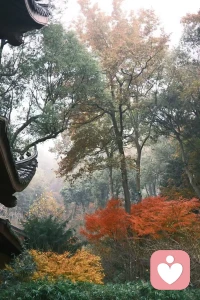 人生最曼妙的风景，是内心的淡定与从容。早安❤配图