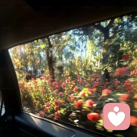 ❤任何时候请记得：你是你自己的第一责任人。做任何事任何决定之前，深呼吸，给自己一点缓冲的时间，不想其他，只有一个信念：对自己负责。配图