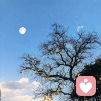 ❤看清谁都不重要，看清自己才最重要。我们要明白自己的喜好，追求自己的梦想，懂得如何与自己相处，如何逐渐完善自己的人格和内心。当我们成为最强大的自己时，无论经历什么，都能保持那份最美好的自我。配图