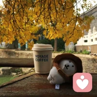 ❤到了一定年龄，你就会发现，在这个世界上真正能给你撑腰的，是你丰富的知识储备，足够的经济基础，持续的情绪稳定，可控的生活节奏和那个打不败的自己。早安。配图