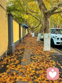 痛和痛苦是有区别的，感到痛不是出于你的选择，但持续的痛苦，是你的选择。”
有时，折磨我们的不是困难本身，而是对困难太过于过度的解读。
在任何时候都是一样的，困境是走出来的，不是想出来的。❤配图