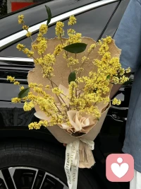 从毛选中学习顶级治愈❤
要始终把精力放在解决问题上面，不用自怨自艾，
因为不管你关注不关注，问题都是那个样子。
                                                                      ----《毛选》配图