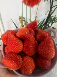 ?很多人害怕孤獨，認為它是負面的情緒，甚至用各種方式去逃避它。
但我覺得，學會和孤獨和解，并不代表放任自己陷入孤單，而是學會在孤獨中找到平靜與自我認同。配圖