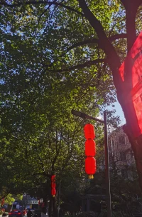 ?陶立夏在散文《其他人是會離去的》中說：別人是會離開的，但你自己一直都在。
所以每天好好吃早餐，房間里常備鮮花，
偶爾給自己買禮物。
生活的秘密不過如此，
那些平靜之中留在你生命里的，
就是你想要的，也是真正屬于你的，
不必多，但要好。
對于生活，不要太著急，
慢慢來，你又不差，一切都會好的。
工作總會一件一件做完，錢包也會慢慢鼓起，
你愛的人也會慢慢變好。
人總有風(fēng)風(fēng)雨雨要經(jīng)歷，生活不就是那樣酸甜苦辣各有滋味。
不要慌，不要慌，
太陽下山有月光，月亮落下有朝陽，
一切都會好起來的。配圖