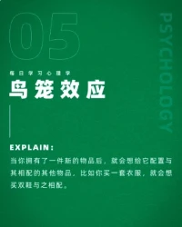 鳥籠效應。要學會理性消費。配圖