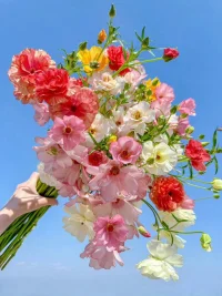 中年女性須知
1.淡。淡淡的人際關系，不屬于你的圈子不必硬擠，自己不強大任何關系都不牢靠，不迎合不討好無視你的人；
2.凈。干干凈凈的裝扮，干干凈凈的妝容，干干凈凈的指甲，內心豐盈比任何裝飾都更重要，干凈是女人身上最好的風水。
3.真。大道至簡，返璞歸真，遠離華麗與喧囂，回歸簡單真實的日子。
4.靜。心若躁，浮生皆亂；心若靜，舉世皆安，傾聽內心的聲音，按照自己的節奏，保證每天平靜和安寧的狀態。配圖