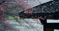 我说梅雨真烦，你说烟雨江南。❤配图