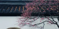 我说梅雨真烦，你说烟雨江南。❤配图