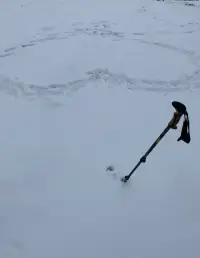 冬天的雪下在了春天。其實，偶爾的錯亂也并不會影響主旋律哈。已在線，歡迎來聊。?配圖