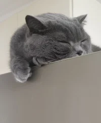 小動物實在是太治愈人心啦?配圖