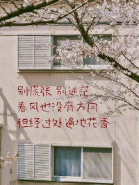 “面子是一個人最難放下的，又是最沒用的東西。當你越是在意它，它就會越發沉重，越發讓你寸步難行。”——亦舒配圖
