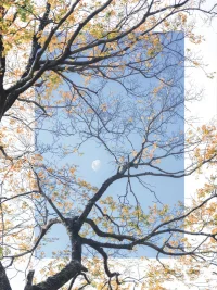 《黃帝內經》
身弱就要多出去走走學會向天地借能量。
身弱之人，多去大自然、戶外走走動動，既看風景開闊心胸，又適度鍛煉了身體。久而久之，身體會越來越強壯。
原文：
人生于天地，懸命于天。配圖