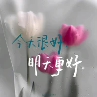 ?小時候，我們為丟失一顆糖果而委屈哭泣，長大后才發現，那些曾經讓我們痛苦不已的事，回頭看竟是微不足道的。人生的許多煩惱，何嘗不是如此？我們為一句批評焦慮，為一場失敗沮喪，為得不到認可而苦惱，可如果站在更長遠的時間維度去看，這一切都不過是過眼云煙，甚至根本不值一提。
?人的痛苦，往往來自于把“玩具”當成了全部，太過執著于外在的一切，把別人的評價、社會的標準、成功與失敗看得太重，結果困在其中，無法自拔。可人生的智慧，是看清這些“玩具”終究只是“玩具”——它們來來去去，本不值得耗盡心力去抓住。
?當我們智慧增長，內心柔軟，不再執著于一時的得失，反而能活得更加輕松自在。那些成熟的人，懂得珍惜，卻不執著；懂得努力，卻不沉溺。看透“玩具”，才能享受人生。配圖