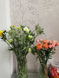 跟小姐妹逛了一下午花卉市場，飽了眼福，買了花，吸收了花花草草的能量，滿載而歸，開心呀。?配圖