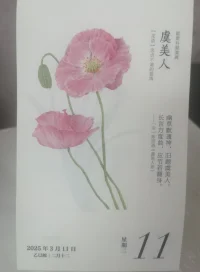 ?別人贈你三月春光，你予他人四月桃花，這是人之常情。
別人給你提供經濟幫助，你給他人回饋情緒價值，這是等價交換。
如此置換下來，別人才會樂意幫助你，在你最需要的時候拉你一把。萬法雖空，因果不空。早?配圖