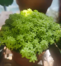 要感謝那些對你不滿的人，是他們激勵你前進，知足而知不足，百戰百勝。?配圖