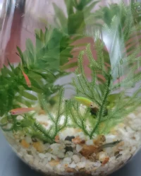 ?我們每個人心里都藏著一個“怪物”，它躲在黑暗中，裝著那些我們不敢承認的欲望、恐懼和弱點。榮格說，這就是我們的陰影。
?“讓一個人面對自己的陰影，就是讓他看到自己的光。”配圖