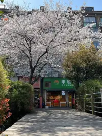 我們最抵觸的往往是我們最需要看到的東西。配圖