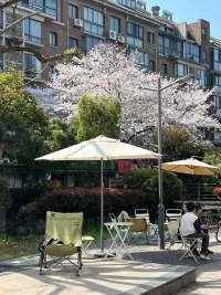 春和景明的具象化，早安。❤配图