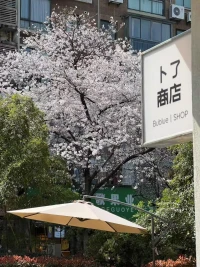 春和景明的具象化，早安。❤配图