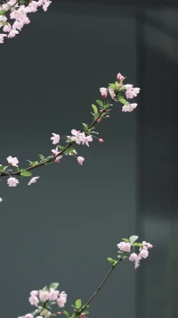 萬病由心生，萬病由心滅
疾病三分治七分養
七分養里關鍵就是心態 ???配圖