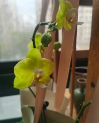 照顧一下我的花花草草們。周末愉快呀。?配圖