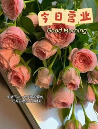 生活的真谛就是必须面对生活。而我们很多的苦恼，往往源于不能面对和接受现实。配图