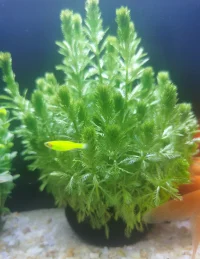 过去的是历史，未来的是希望，只有当下才是你可以把握的时空。所以，珍惜当下的每分每秒，活成自己喜欢的样子就好。❤配图