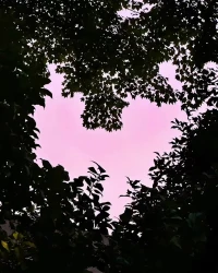 ❤人如果没有了七情六欲，生活质量会低下，没有理性会变成无头苍蝇，没有悟性，必然蒙蔽双眼，为各种烦恼所困。所以三者必备，但各有轻重。可以这样说，我们应该左手握住理性，右手握住感性，提高身心悟性，拥有平衡的快乐人生。❤配图