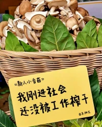 打工暂停一下    我先出去      
     沾个花    惹个草 跳个舞 ​配图