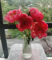 打不倒你的，最终才会成就你。很多事说出来就比憋在心理强。❤配图