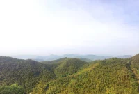 山里的空氣好清新，大口呼吸，吸收能量。早安。?配圖